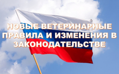 Какие законы и ветеринарные правила вступили в силу в РФ с 1 сентября 2024 года