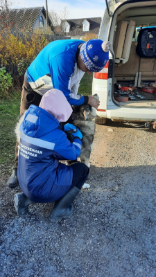 Подведены итоги выездной вакцинации в Октябрьском районе г. Кирова