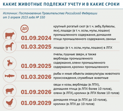 Какие животные подлежат учету и в какие сроки