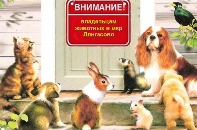 Уважаемые жители и гости мкр. Лянгасово, ветклиника c 21 по 30 ноября не работает